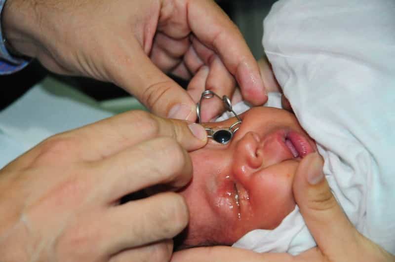 Labor-Social-19 Labor-Social-19